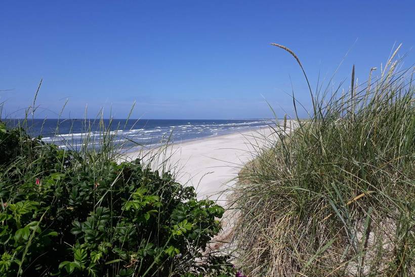 Foto von Ferienhaus BH38 in Blåvand - Westjütland