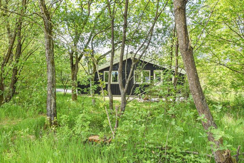 Foto von Ferienhaus BI01 in Vesterlund - Ostjütland