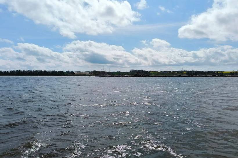 Foto von Ferienhaus BI07 in Eskov Strandpark - Thy/Limfjord
