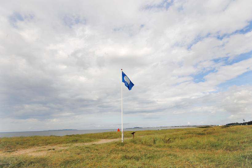 Foto von Ferienhaus BI19 in Trend - Thy/Limfjord