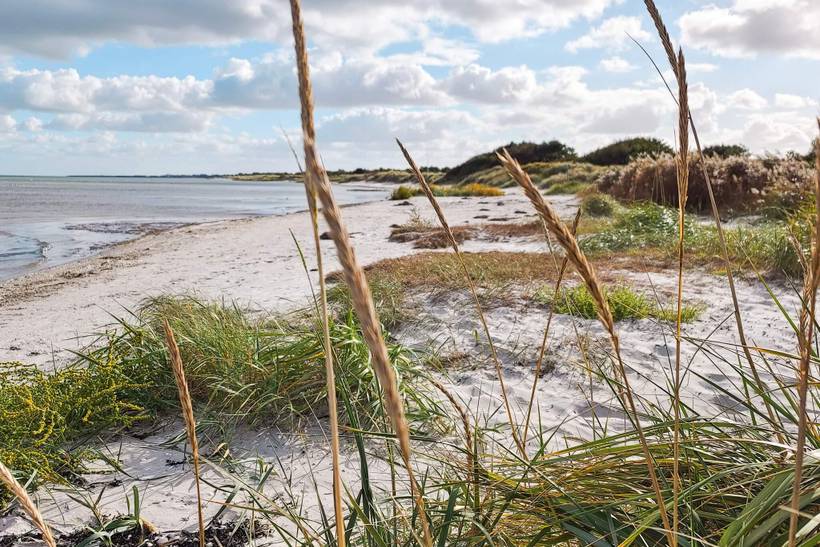 Foto von Ferienhaus BI20 in Øster Hurup - Nordjütland Ost