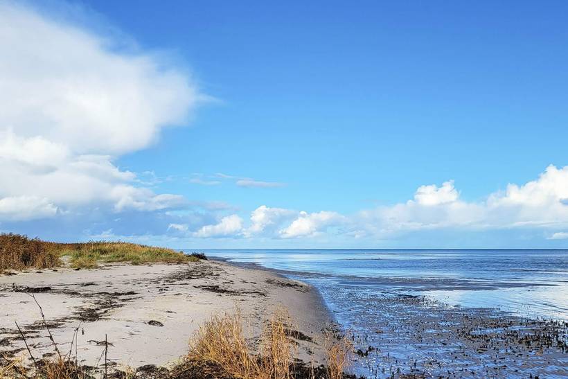 Foto von Ferienhaus BI20 in Øster Hurup - Nordjütland Ost