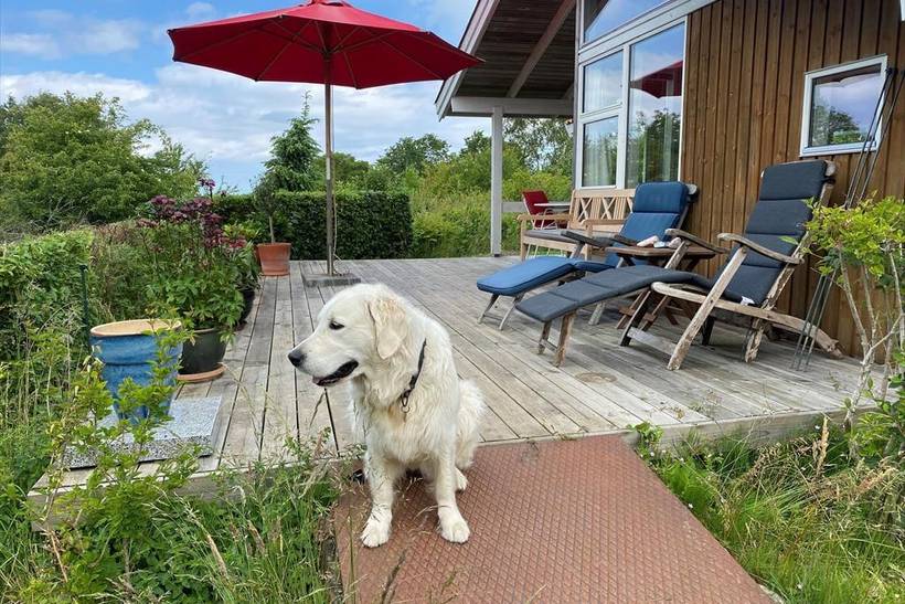 Foto von Ferienhaus BI89 in Sejerø Bugt - Westseeland