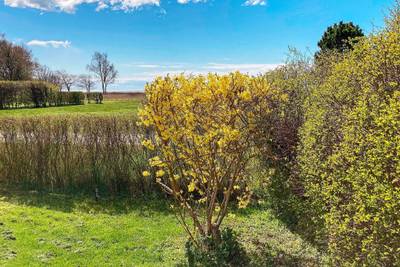 Vorschaubild von Ferienhaus BJ11 in Nysted - Lolland