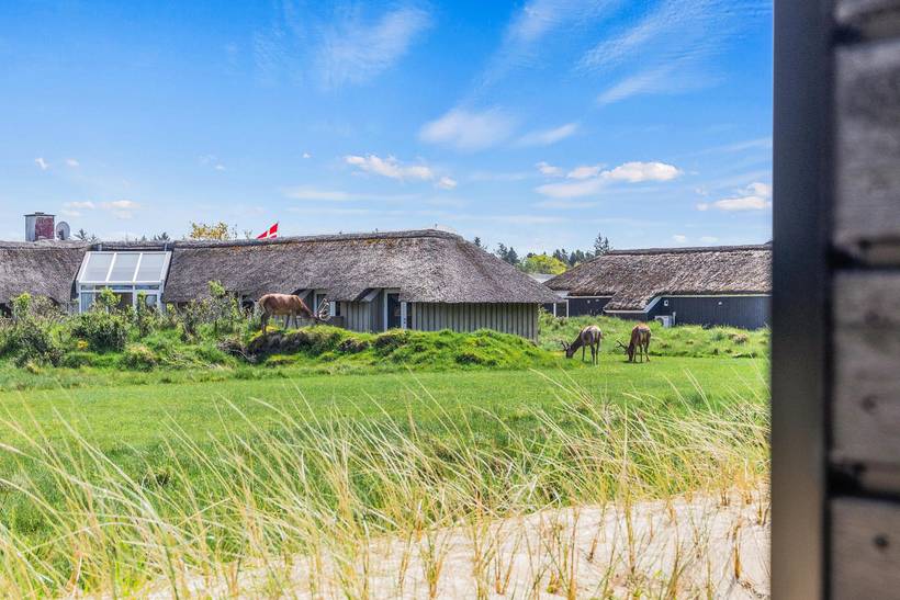 Foto von Ferienhaus BJ12 in Vejers Strand - Westjütland