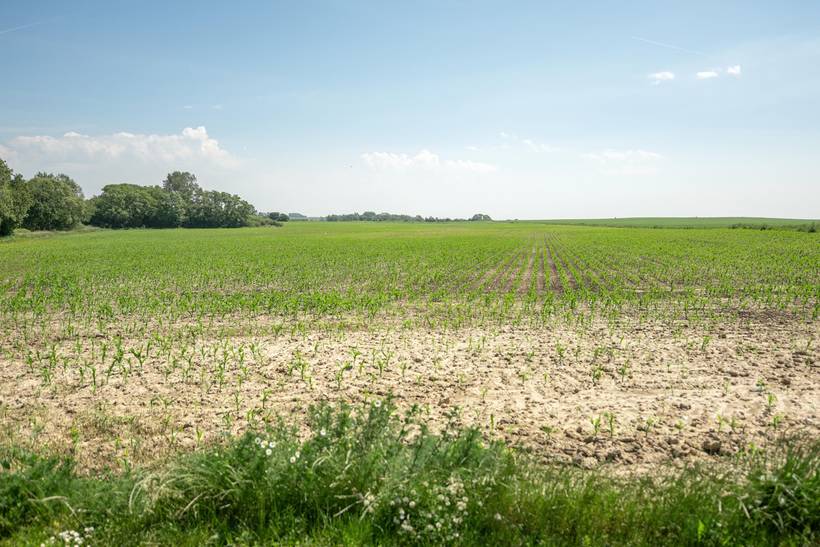 Foto von Ferienhaus BJ21 in Kegnæs - Als