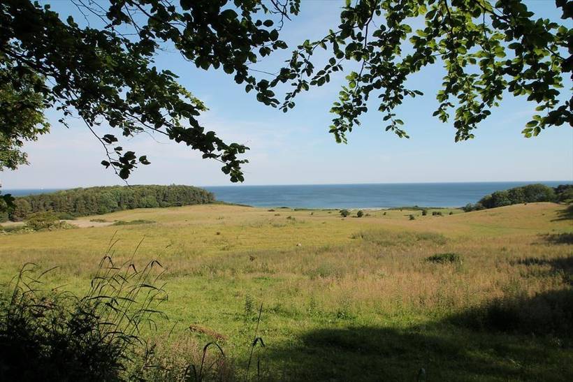 Foto von Ferienhaus BJ36 in Røsnæs - Westseeland