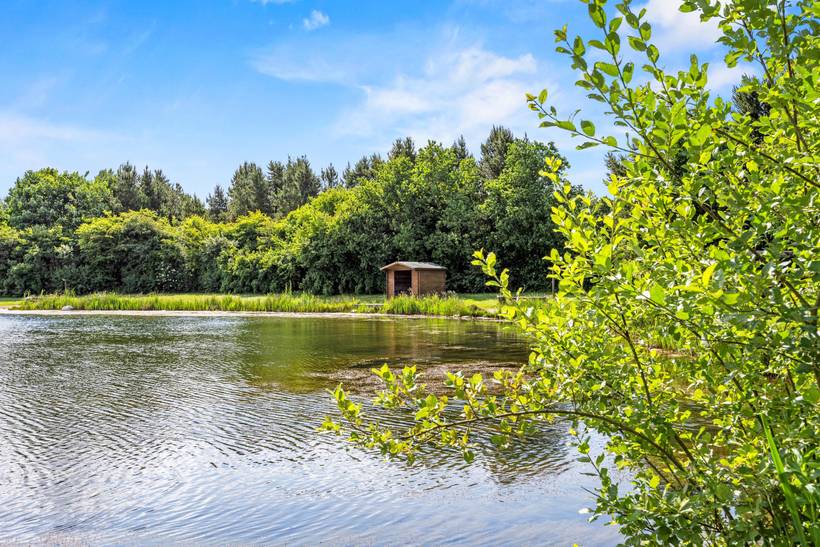 Foto von Ferienhaus BJ39 in Arrild - Südjütland