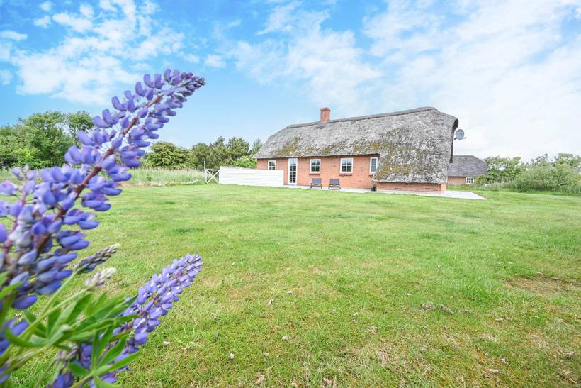 Foto von Ferienhaus BM02 in Vester Husby - Westjütland