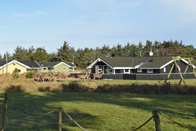 Foto von Ferienhaus BM23 in Vejers Strand - Westjütland