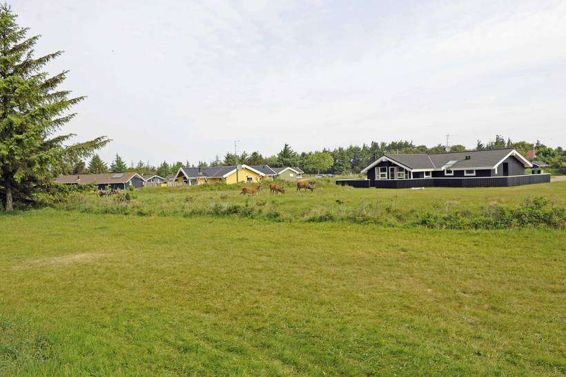 Foto von Ferienhaus BM23 in Vejers Strand - Westjütland
