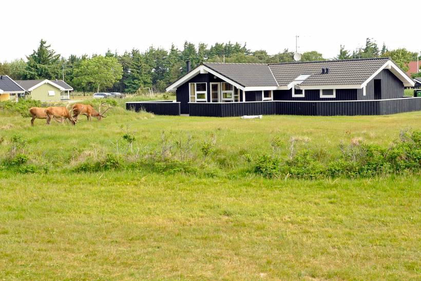 Foto von Ferienhaus BM23 in Vejers Strand - Westjütland