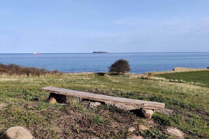 Foto von Ferienhaus BM51 in Elsegårde - Ebeltoft - Ostjütland