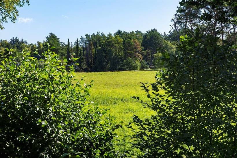 Foto von Ferienhaus BM57 in Fuglslev - Ebeltoft - Ostjütland