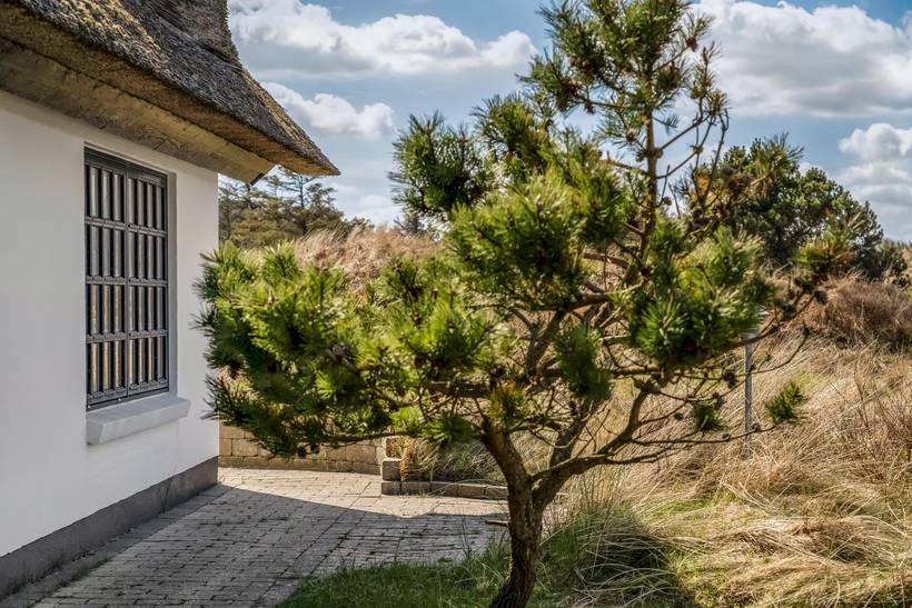 Foto von Ferienhaus BN30 in Blokhus - Nordjütland