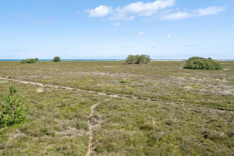 Foto von Ferienhaus BN42 in Østerby - Læsø