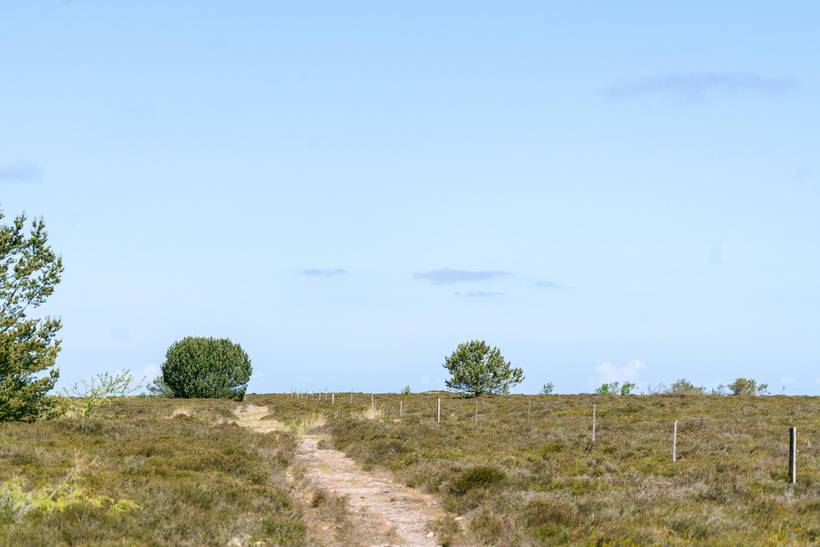 Foto von Ferienhaus BN42 in Østerby - Læsø