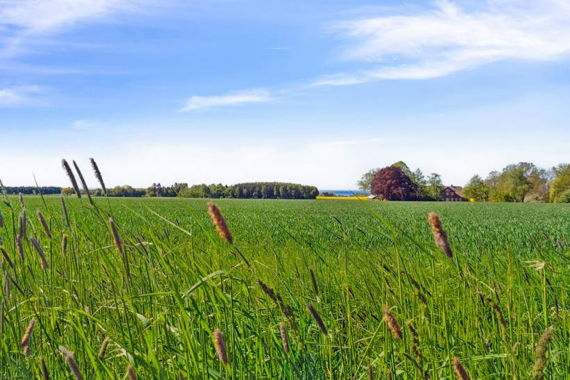 Foto von Ferienhaus BN46 auf Boderne - Bornholm