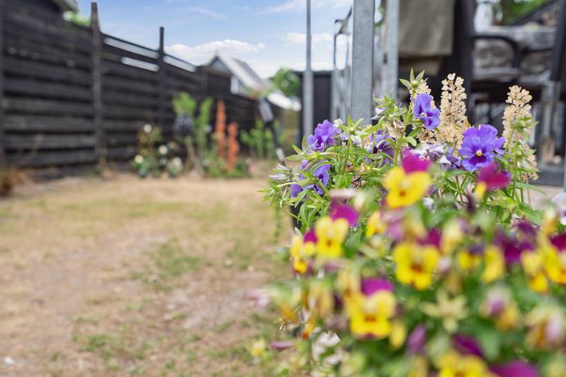 Foto von Ferienhaus BN82 in Sæby - Nordjütland Ost