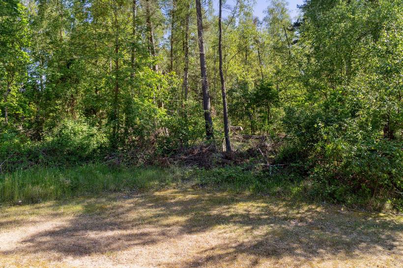 Foto von Ferienhaus BO38 in Marielyst - Falster
