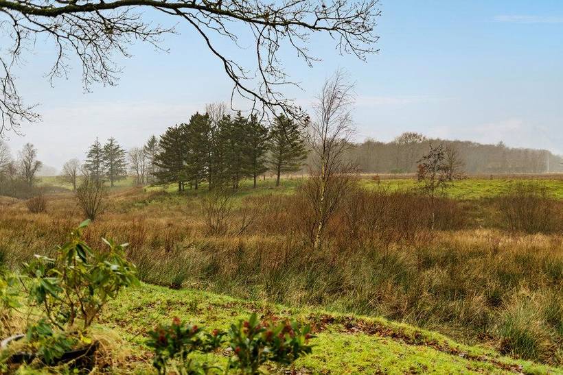 Foto von Ferienhaus BO89 in Hovborg - Westjütland