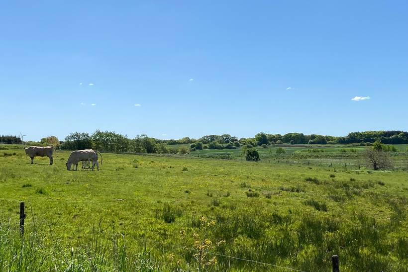 Foto von Ferienhaus BP40 in Lintrup - Südjütland