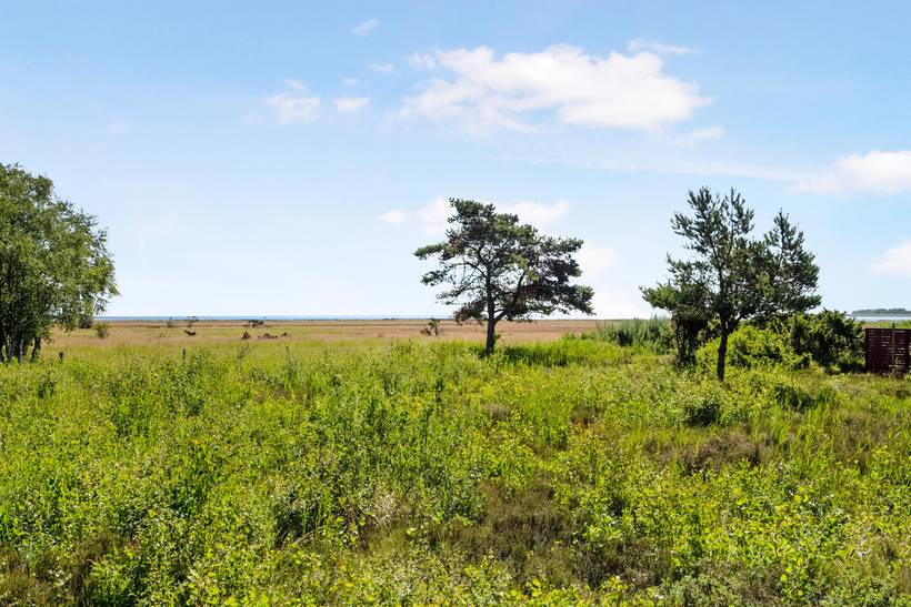 Foto von Ferienhaus BQ71 in Helberskov - Nordjütland Ost