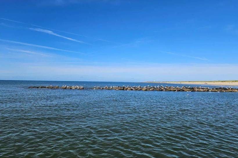 Foto von Ferienhaus BR46 in Søndervig - Westjütland