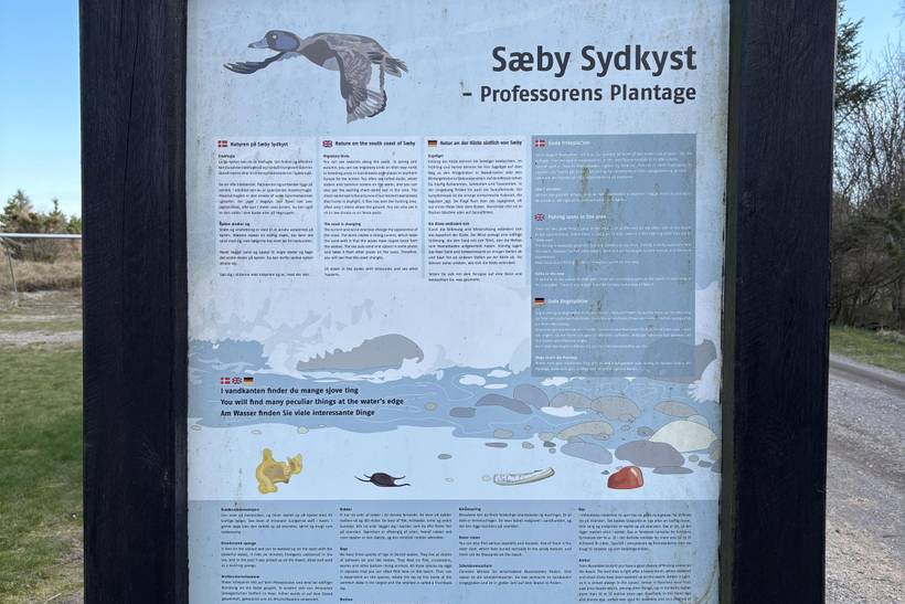 Foto von Ferienhaus BR82 in Sæby - Lyngså - Nordjütland Ost