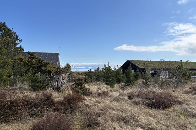 Foto von Ferienhaus BR82 in Sæby - Lyngså - Nordjütland Ost