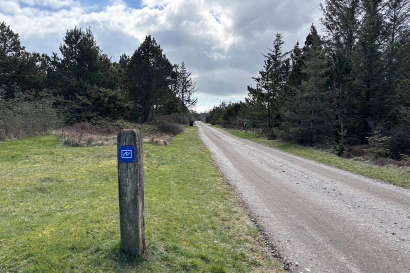 Foto von Ferienhaus BR82 in Sæby - Lyngså - Nordjütland Ost