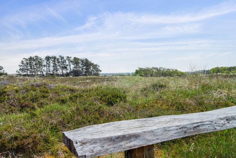 Foto von Ferienhaus BS01 in Klitmøller - Thy/Limfjord