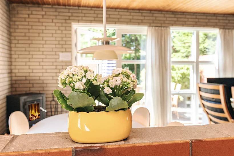 Foto von Ferienhaus BS25 in Marielyst - Falster