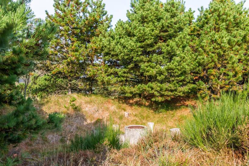 Foto von Ferienhaus BS53 in Blåvand - Westjütland