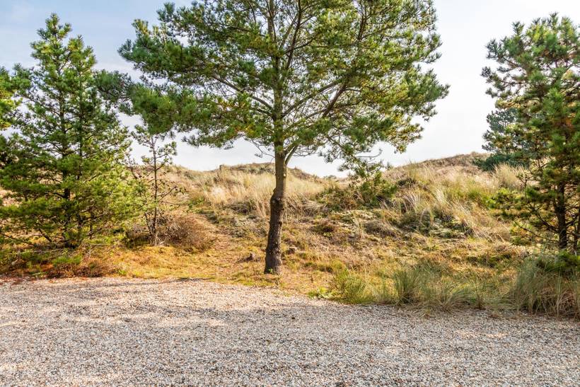 Foto von Ferienhaus BS53 in Blåvand - Westjütland