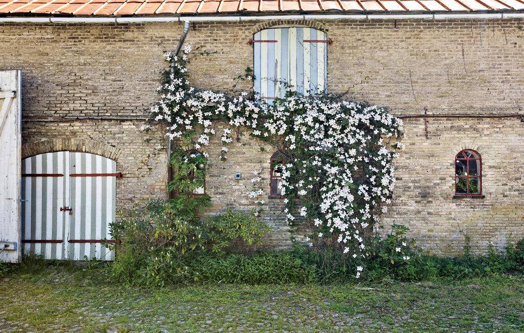 Foto von Ferienhaus BS55 in Vemmingbund - Südjütland
