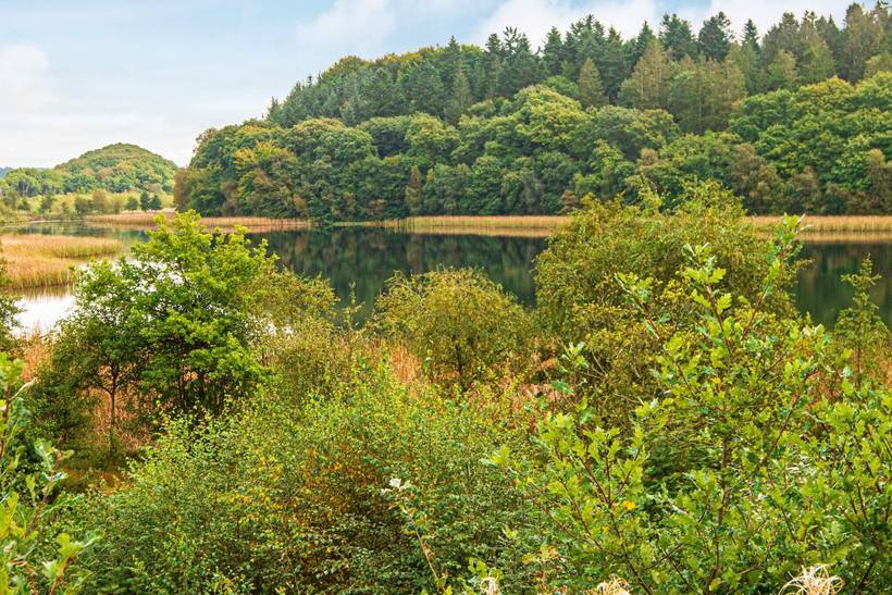 Foto von Ferienhaus BS66 in Vesterlund - Ostjütland