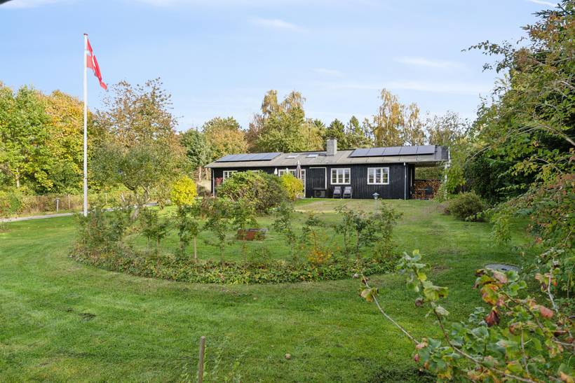 Foto von Ferienhaus BT02 in Udsholt - Rågeleje - Nordseeland