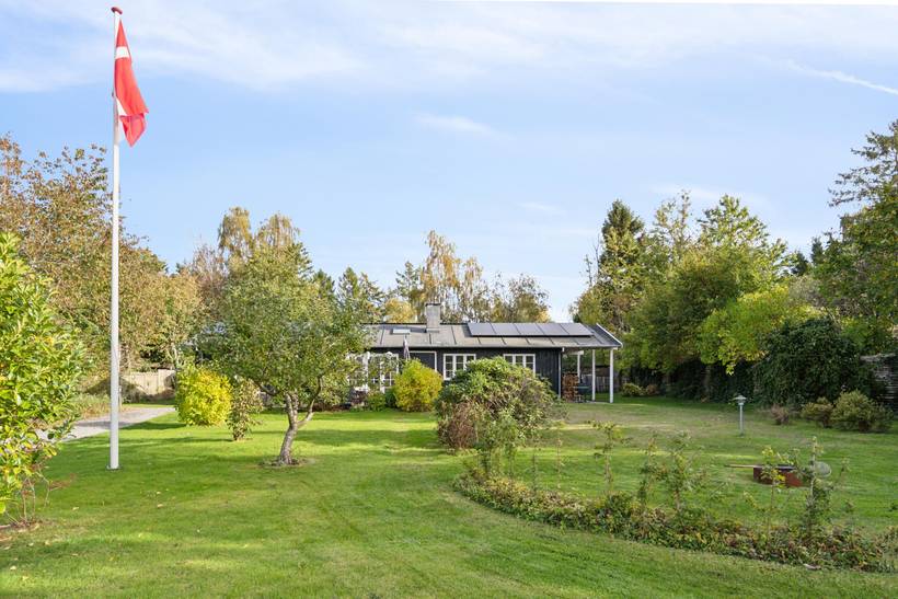 Foto von Ferienhaus BT02 in Udsholt - Rågeleje - Nordseeland