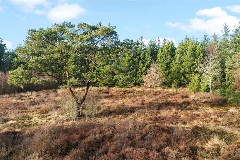 Foto von Ferienhaus BT42 in Vester Husby - Westjütland