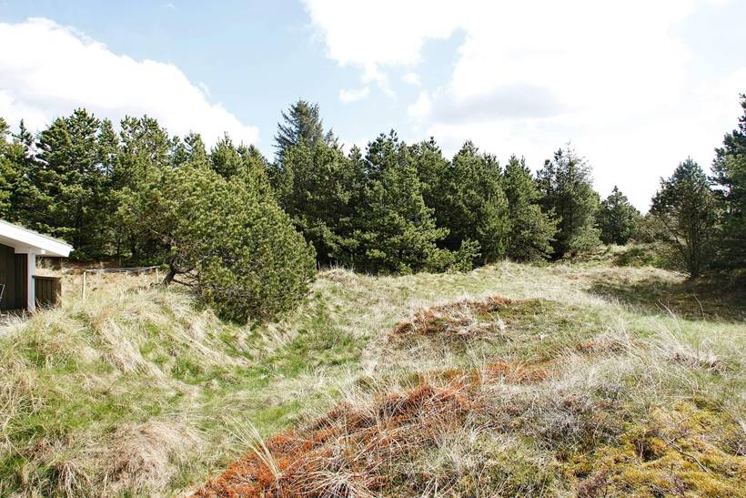 Foto von Ferienhaus BU13 in Blokhus - Nordjütland