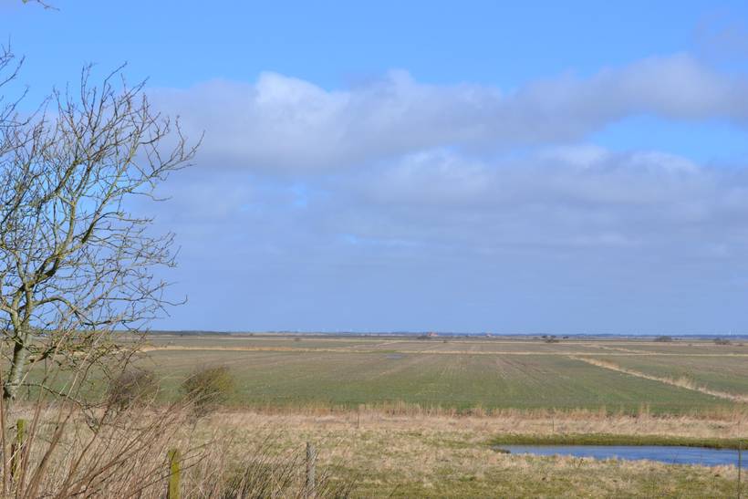 Foto von Ferienhaus BU23 in Ballum - Südjütland