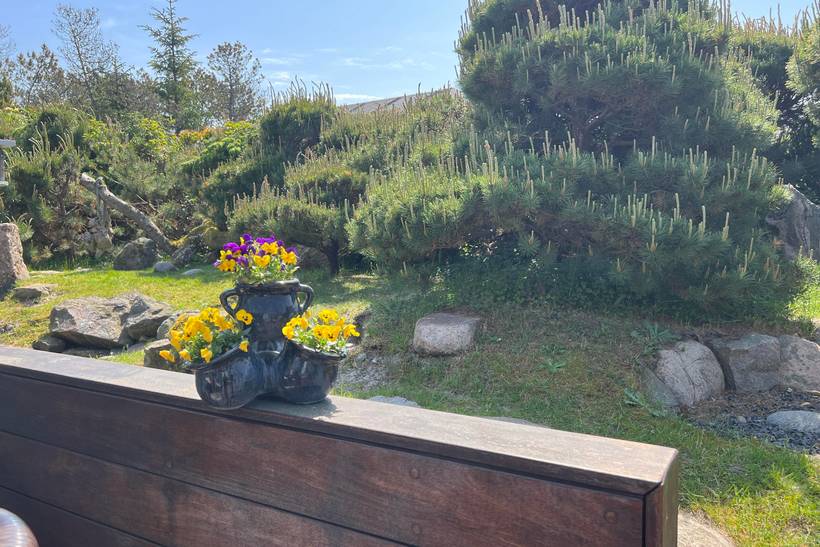 Foto von Ferienhaus BU31 in Vejers Strand - Westjütland