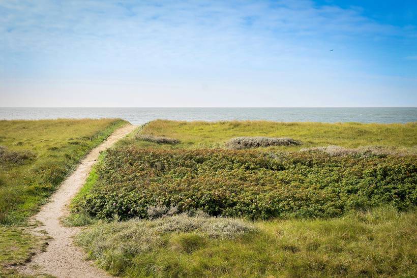 Foto von Ferienhaus BW83 in Blåvand - Westjütland