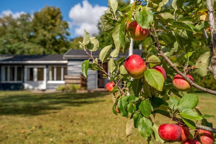 Foto von Ferienhaus BX59 in Mou - Egense - Nordjütland Ost