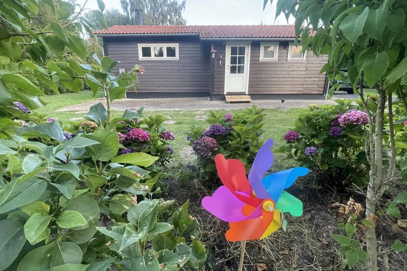 Foto von Ferienhaus BY77 in Gedesby - Falster
