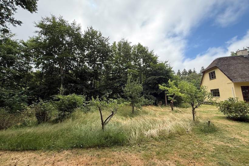 Foto von Ferienhaus BZ01 in Vester Husby - Westjütland