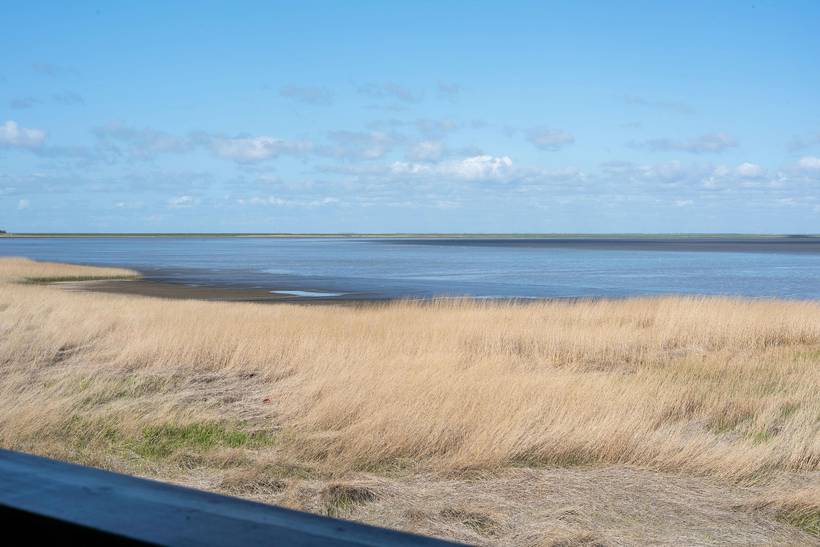 Foto von Ferienhaus BZ24 in Kongsmark - Rømø