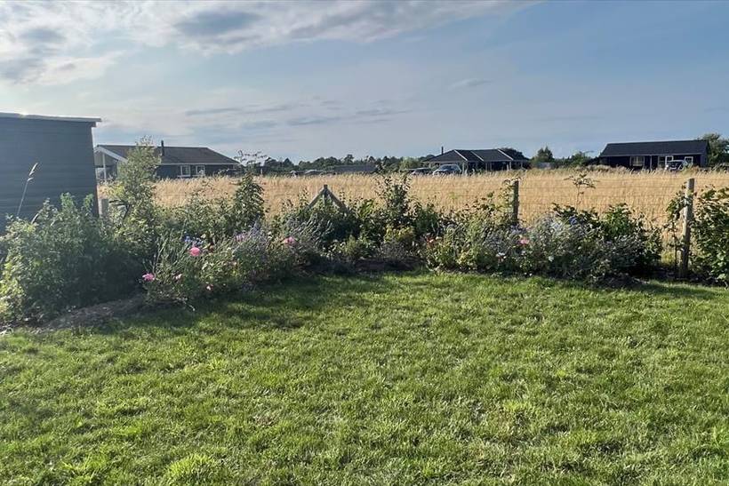 Foto von Ferienhaus BZ82 in Sejerø Bugt - Westseeland
