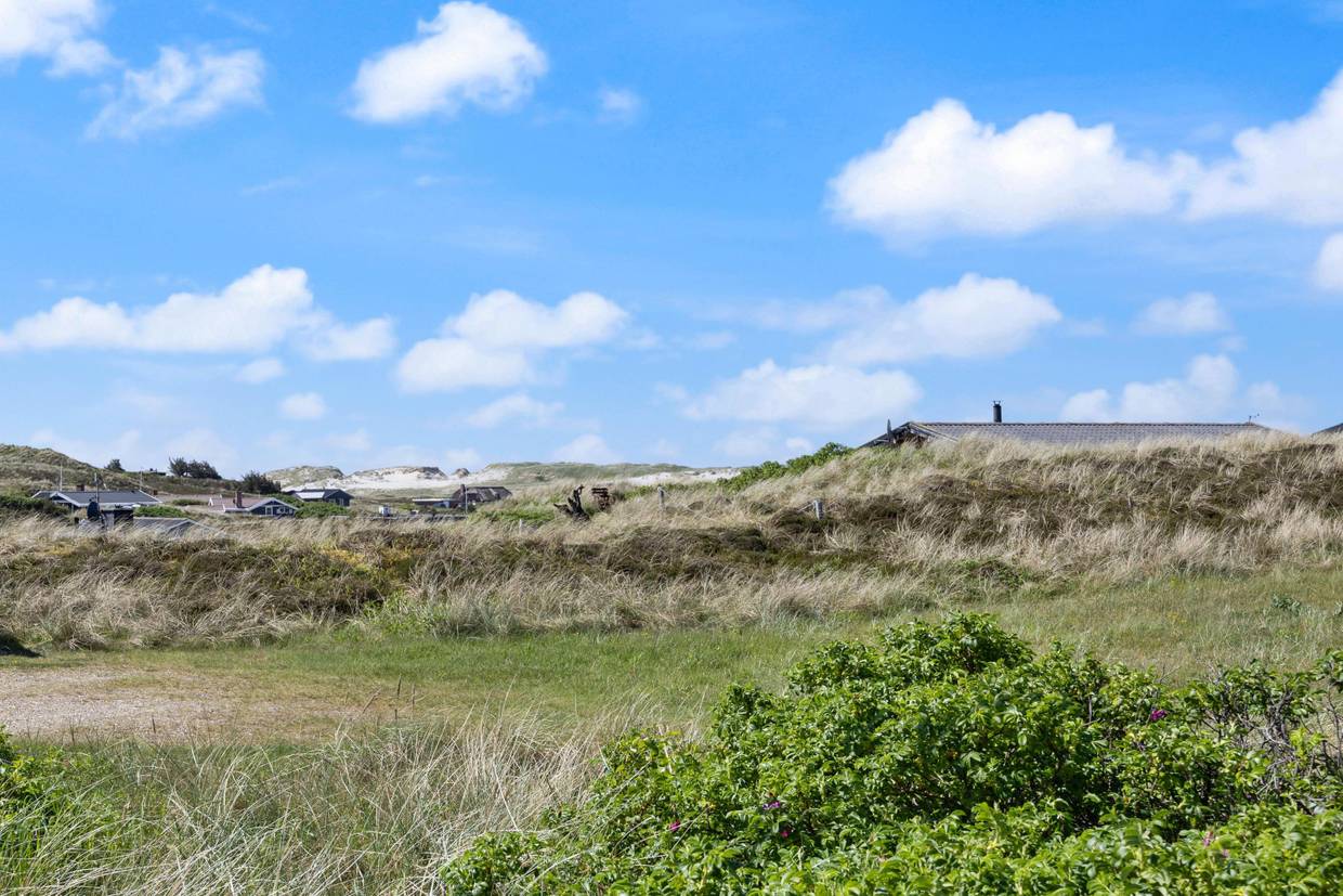 Foto von Ferienhaus BZ91 in Skodbjerge - Bjerregård - Westjütland